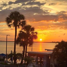 This could be your view every night of your stay!! Cozy, comfy remodeled condo!, hotel a Tampa