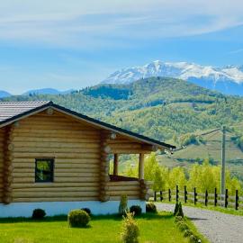 Sub Stele Chalets, hotel in Holbav