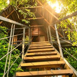 Habarana Tree House - Ivory cottage, hotel in Habarana
