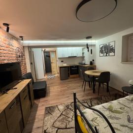 Apartament M1 w centrum Wiela, Hotel in Wiele