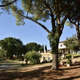 Casa Vacanze Madrechiesa