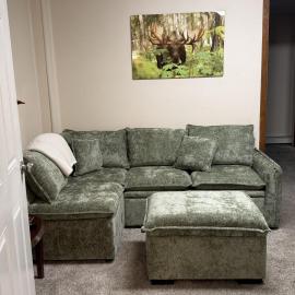 Moose 2 bedroom lower, close to downtown, hotel in Fairbanks