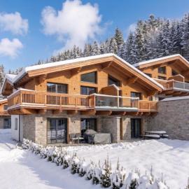 Tauernlodge Eben D1
