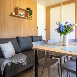 Vierhuizen에 위치한 호텔 Comfortable caravan in a green setting