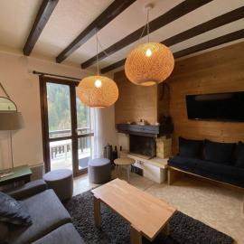Appartement chaleureux, animaux OK - 9 pers. - FR-1-886-52