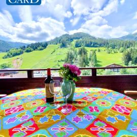Appartements Römerhof Superior - Kärnten Card im Sommer inklusive