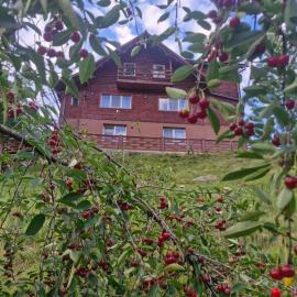 Pensiunea Cabana Viselor ,Apuseni, Hotel in Vadu Moţilor