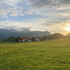 Bachwagnerhof