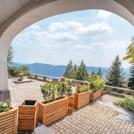 Exclusive Panoramic Sky Alps