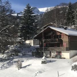 Bussalp Apartment - Aare Jungfrau AG, hotel v destinácii Grindelwald