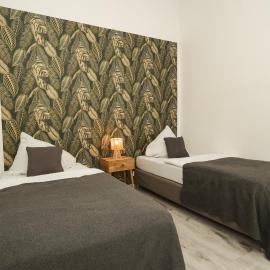 Apartment Central 10B 40qm Wi-Fi free Parking calm back house