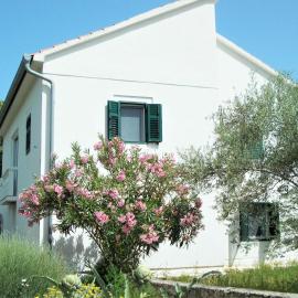 Spacious house in Lukoran with sea view, Hotel in Lukoran