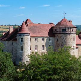 Château des Chaussins, hotel in Abrest