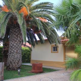 Welcoming House with Mountain View in Porto Santo