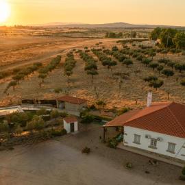 Casa De Campo Das Oliveiras, hotelli kohteessa Idanha-a-Nova