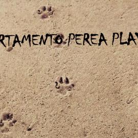 Apartamento Perea playa