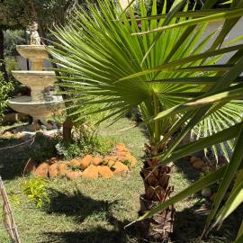 Superbe logement au rez-de chaussée avec jardin