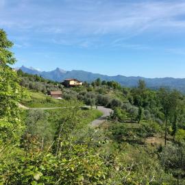 Podere Bassi