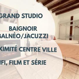 Charming studio with private spa and a unique setting, hotel u gradu 'Vienne'