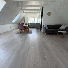 Moderne lejlighed med egen indgang nær Vejle, hotel in Fredericia