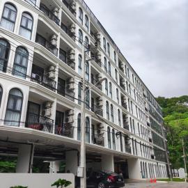 Palmetto park 509