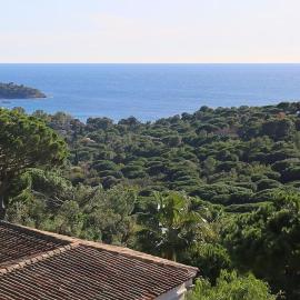 Montazur
