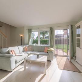 Kornblume_DH
