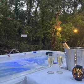 Villa climatisée, Piscine, Spa, jardin 4500 m2 dans la foret – hotel w mieście Le Luc
