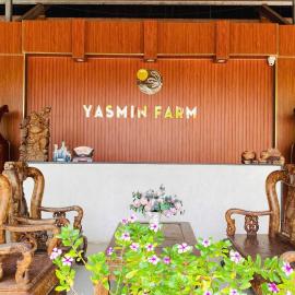 Yasmin Resort Thai Nguyen, hotel in Làng Tao