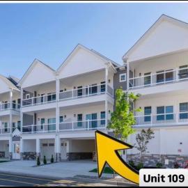 Wake Up in Wildwood