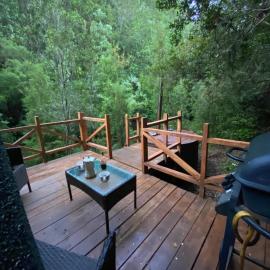 Refugio Minicabaña en medio del bosque con Tinaja opcional – hotel w mieście Valdivia