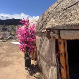 Almani yurt camp, hotel u gradu 'Tong'