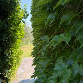 Villa in collina con Piscina، فندق في لوكّا