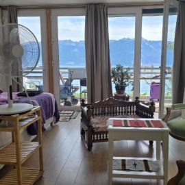 Loft duplex à Grandvaux entre vignes et vue sur le Léman, hotel in Grandvaux