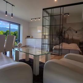 Apartament Panoramic