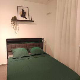 Renovated apartment exceptional price LDLC Arena Groupama Stadium, hótel í Décines-Charpieu