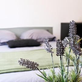 ZenkaSerenity-Ferme paisible Centre CHU-wifi-pro