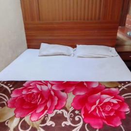 Hotel shree