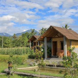 Bee Camp Bedugul by AGATA, hotel v destinácii Bedugul