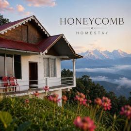 Kagey Honeycomb Homesaty
