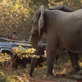 Karongwe - Chisomo Safari Camp, hotel i Hoedspruit