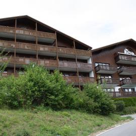 Appartementhaus Himmelreich 532, ξενοδοχείο σε Lam