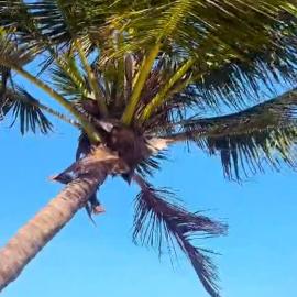 Sebulenii Luxury Homestay Nyali Msa-Neem Ave Walk to Nyali Beach, отель в Момбасе