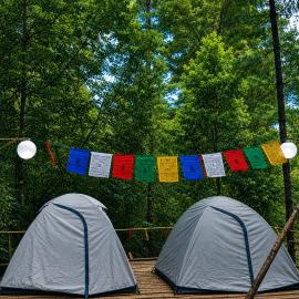 Zion Campsite, hotel in Ziro