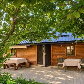 Country house in nature -10 min from Nikola Tesla Memorial Center-peace and privacy
