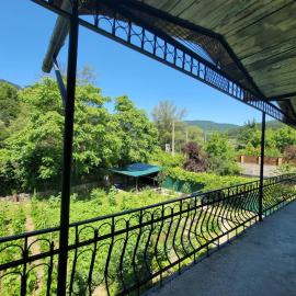 Borjomi Kvibisi Village Guset House, hotel in Borjomi