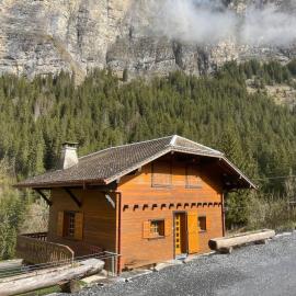 Cosy Alpine Chalet Near MorzineAvoriaz Sleeps 6