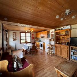 Ground Floor Flat Walk to Town Ski Bus Route