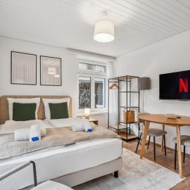 Premium studio in city center - Color 3, готель у Цюріху