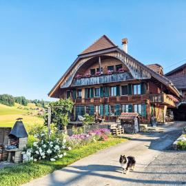 Apartment Hof Schürweid by Interhome, hotel in Uttigen